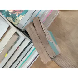 Phê phán các thuyết chống chủ nghĩa Mác trong kinh tế chính trị