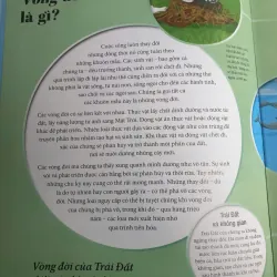 Vòng Đời - Vạn Vật Từ Khởi Đầu Cho Đến Kết Thúc 1009017