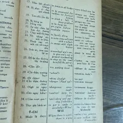 THÀNH NGỮ ANH VIỆT PHÁP - ZIÊN HỒNG 601504