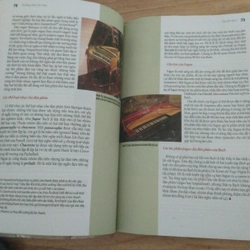 Thưởng thức âm nhạc - Nguyễn Bách 548879