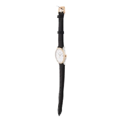 Longines Bộ sưu tập Thanh lịch PG kết hợp L4.809.5.12.0 SSxGP Tự động - Hàng hiệu Chính hãng 882602