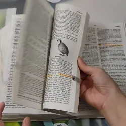 [MIỄN PHÍ BỌC SÁCH] Từ Điển Pháp-Việt 990576