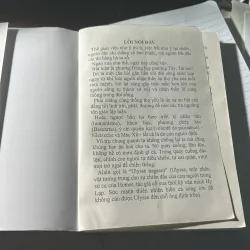 Tướng Mệnh Khảo Luận 753089