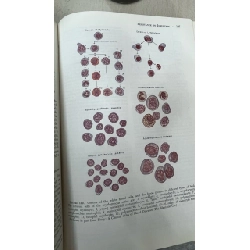 Textbook of medical physiology - Guyton