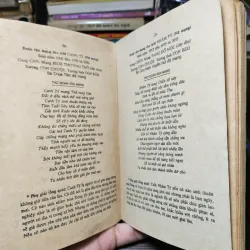 Tử Vi Tướng Pháp  1020128