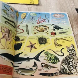 TẠP CHÍ TOUT L’UNIVERS – 1962 (2) 1017498