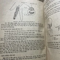 Bài giảng giải phẫu bệnh học - 2 tập, sách dày hơn 800 trang khổ lớn  1009096