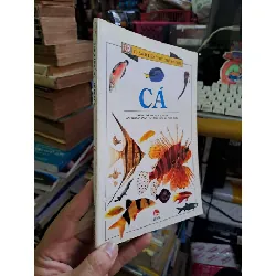 Các loài hoa, cá, côn trùng, bướm, đá và khoáng chất - mới 80% bẩn nhẹ - KHOA HỌC ĐỜI SỐNG - HCM0111 628919