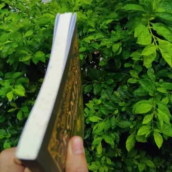 Romeo và Tuyết tự truyện của Jerry White 1000247