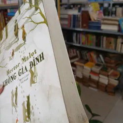 KHÔNG GIA ĐÌNH - HECTOR MALOT (HUỲNH LÝ DỊCH) 1038399