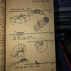 Công tác tổ chức và giáo dục đội nhi đồng Hồ Chí Minh  797478