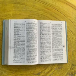 TỪ ĐIỂN VIỆT - ANH VIETNAMESE- ENGLISH DICTIONARY  1037215