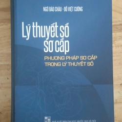 Lý thuyết số sơ cấp (bìa cứng) - Ngô bảo châu