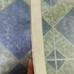 Tìm hiểu phong cách Nguyễn Du trong truyện Kiều - Phan Ngọc 791703