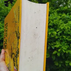 Kinh Dịch đại diễn tân giải  1000279