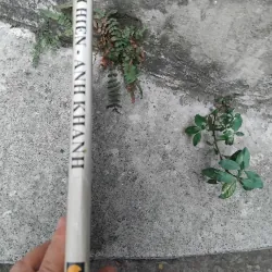 Vựng tập mỹ thuật Bùi Mai Hiên, Đào Anh Khánh  1028214