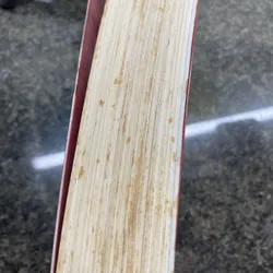 Võ Nguyên Giáp trong cuộc trường chinh thế kỷ Trần Thái Bình 707516