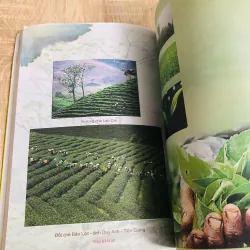 LỤC BÁT TRÀ – Phạm Văn Sau 929276