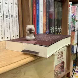 Kẻ lang thang - Lương Kha 746824