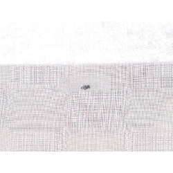 Nơ Nagoya mùa hè - Hàng hiệu Authentic 875097