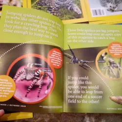 Combo 18 cuốn tạp chí khoa học tiếng Anh Nat Geo cho bé 732926