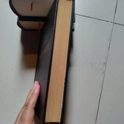 Lịch sử Việt Nam 518568