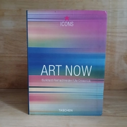 Art Now - Burkhard Riemschneider/Uta Grosenick