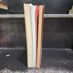 Nguyễn Ngọc Tư 1027684