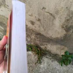 Bí mật gia đình tiểu thuyết của Irène Frain  1005704