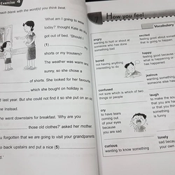 Essential Vocabulary in context 1-6 548354
