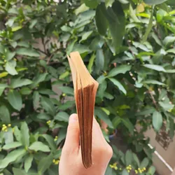 Dưới Lá Cờ Vẻ Vang Của Đảng Vì Độc Lập Tự Do Vì Chủ Nghĩa Xã Hội  711952