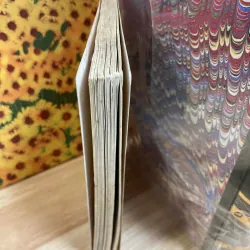 Con Chim Vàng - Nguyễn Quang Sáng 953418