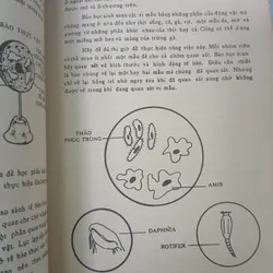 DẠY KHOA HỌC CĂN BẢN - RITA LANGLEY 735328