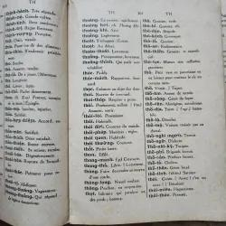 Tự điển Việt Pháp yếu lược | Đào văn tập | 1951 760165