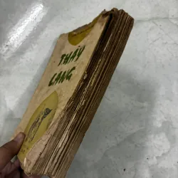 Thầy lang (nxb HN) 1031534