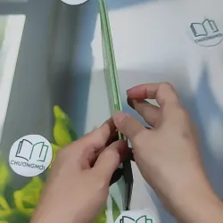 First Reader: Rumpelstiltskin 990507