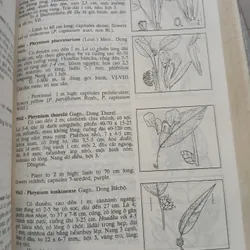 CÂY CỎ VIỆT NAM (QUYỂN I, II, III) - PHẠM HOÀNG HỘ 740112