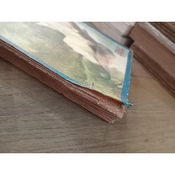 Ngọc trong đá - Nguyễn Đông Thức 175224