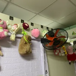 nhều loại gấu bông sl trên 100c cần bán giá 1t5 đổ xún 604464