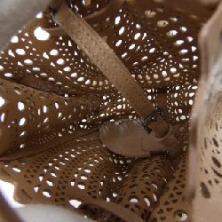 Túi ALAIA ROSE MARIE - Hàng hiệu Chính hãng 831238