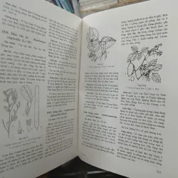 CÂY CỎ CÓ ÍCH Ở VIỆT NAM (TRỌN BỘ) - Võ Văn Chi 528968