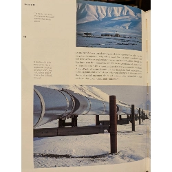 Portrait in Oil - Berry Ritchie 1005854