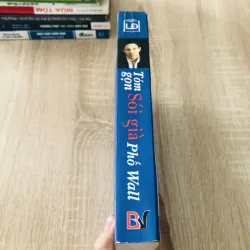 SÓI GIÀ PHỐ WALL 1022316