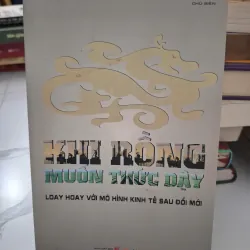 Khi rồng muốn thức dậy: Loay hoay với mô hình kinh tế sau Đổi mới