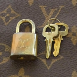 Túi xách Boston Louis Vuitton Monogram Speedy 25cm M41109 - Hàng hiệu Chính hãng 771177