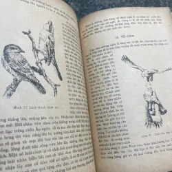 Đời sống các loài chim Võ Quý XB 1977 763312