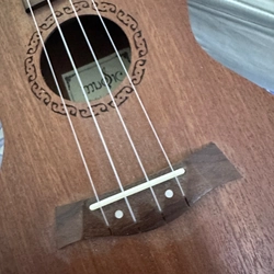 Đàn Ukulele Gỗ chính hãng size concert basic 494139