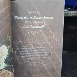 Sourdough Bread 1002818