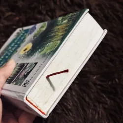 Từ điển tranh về các loài cây 932519