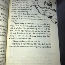 Tipiti chim cổ đỏ 926747